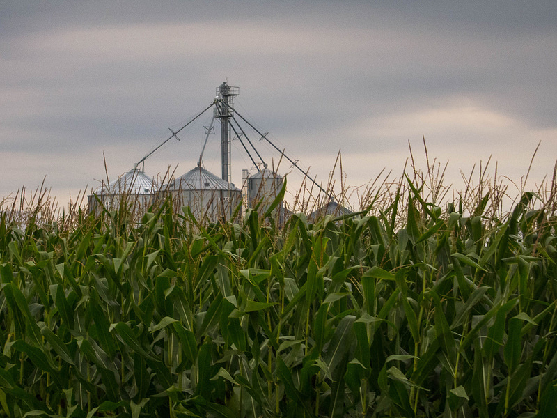 corn_grain_elevators_