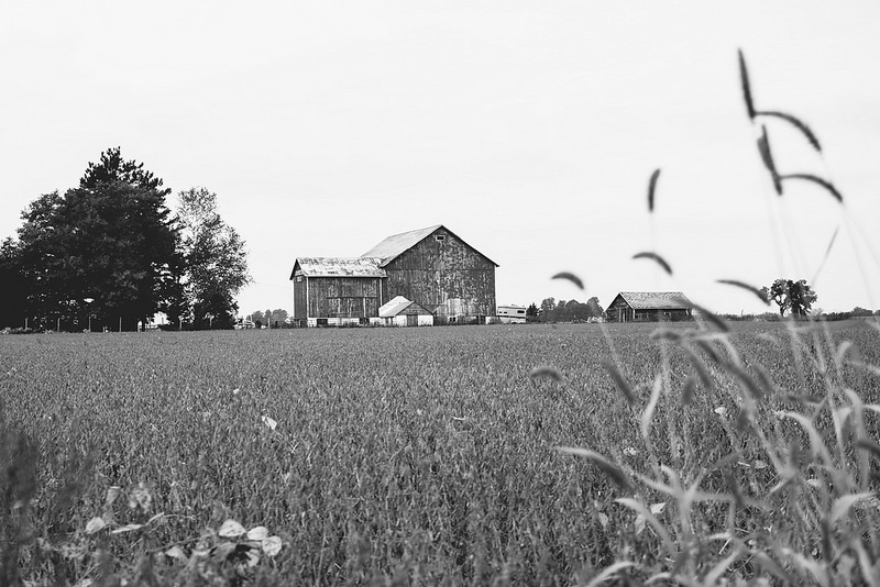 BW_Barn