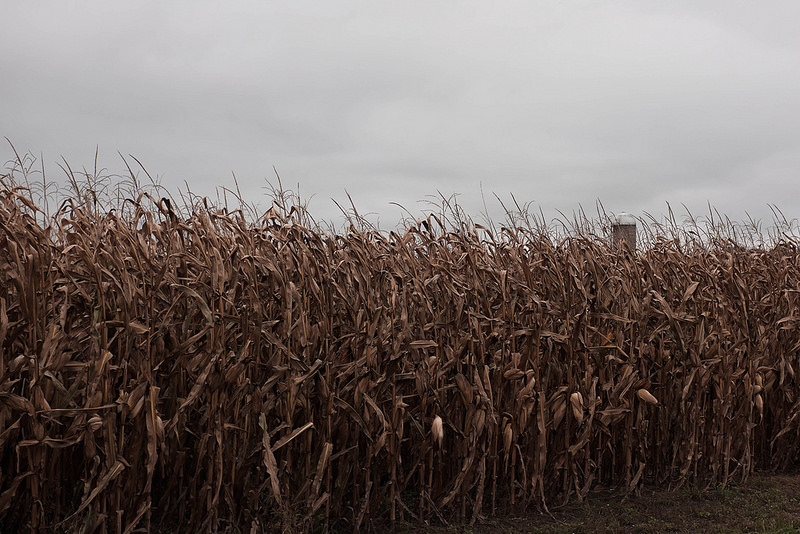 Corn_Silo_Fall