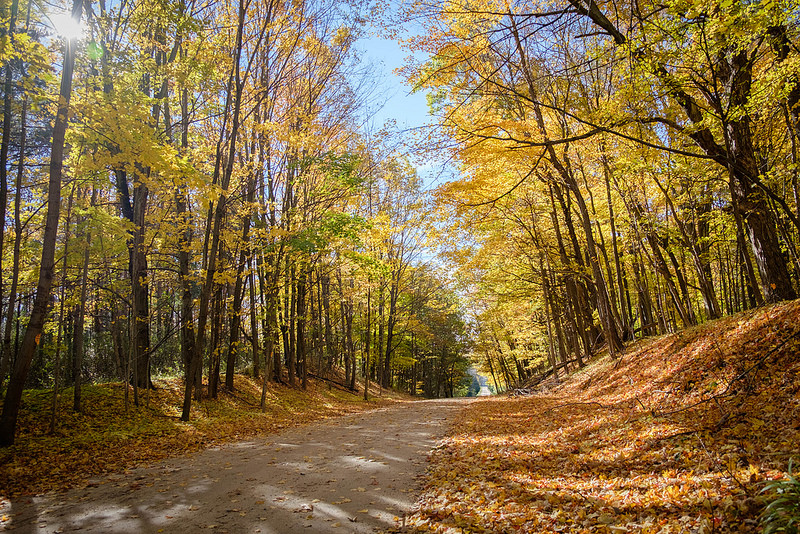 WideSingleTrack