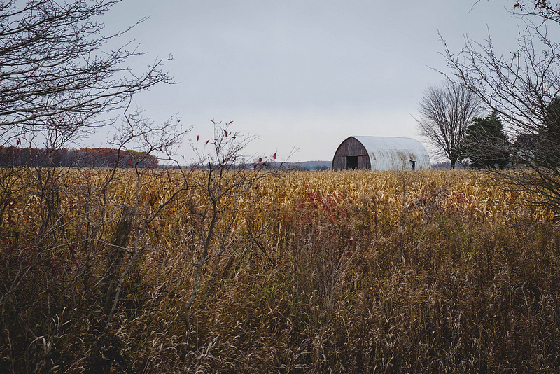 barnandcorn