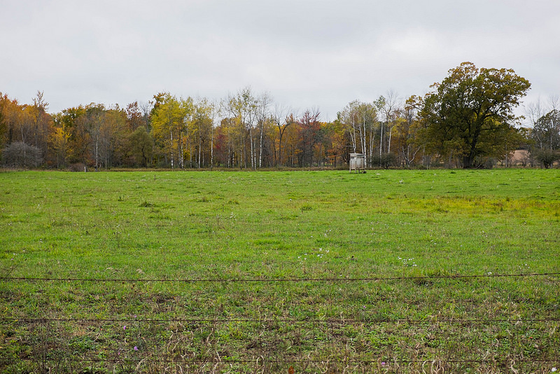 fallfieldhuntingblind