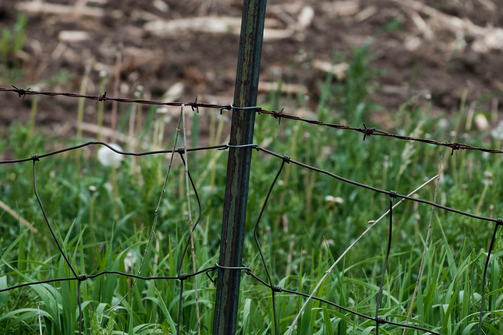 barb-wire-fence-b