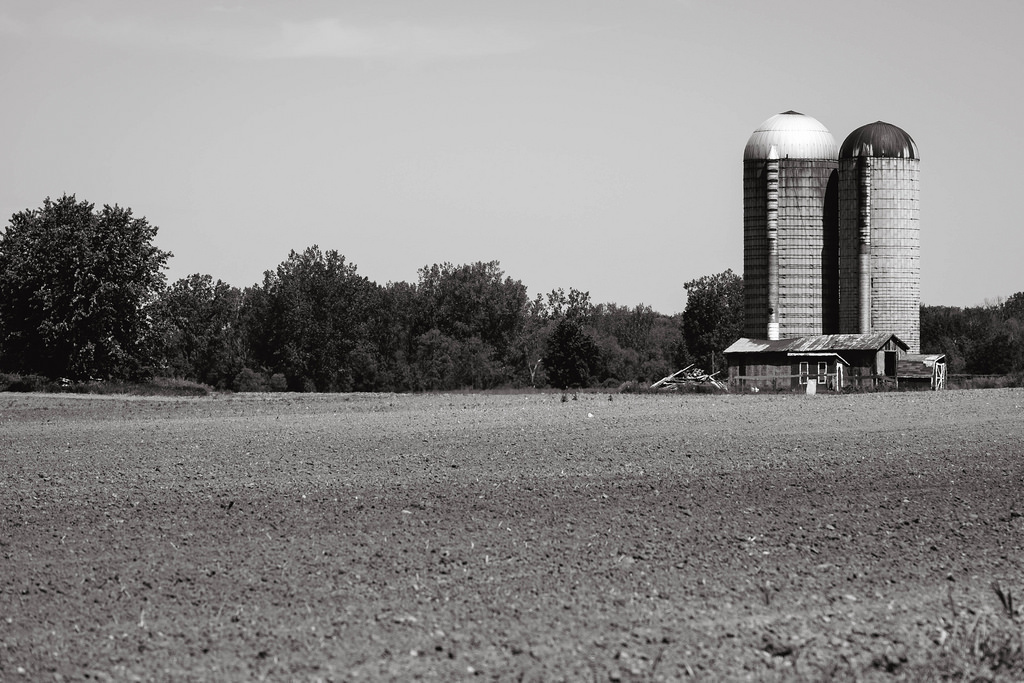 farm-bw-flat