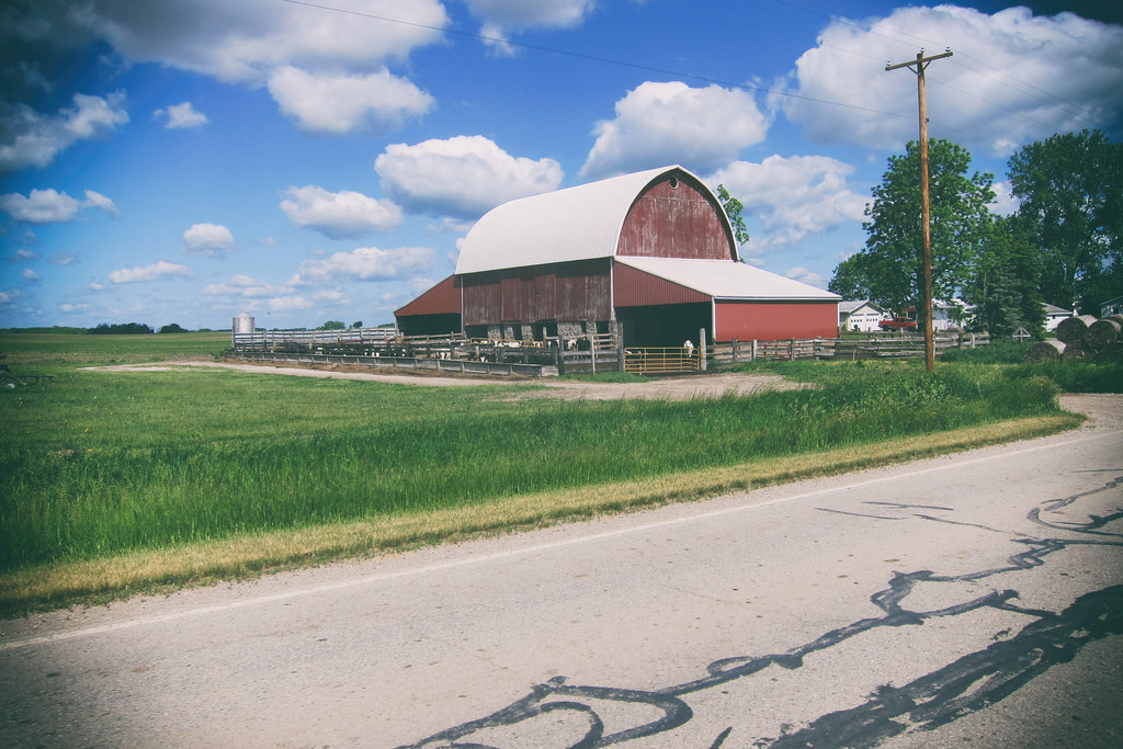 Farm_Over_Processed_