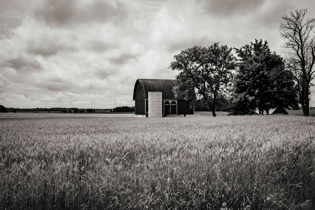 black-n-white-barn-2