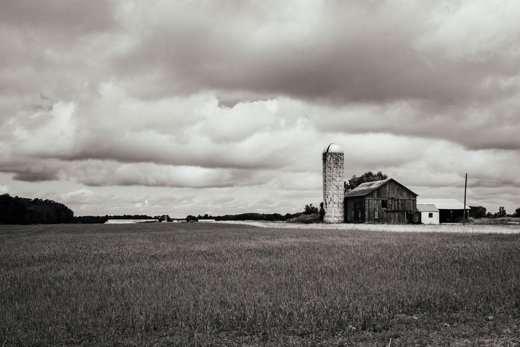 black_an_white-Barn_1