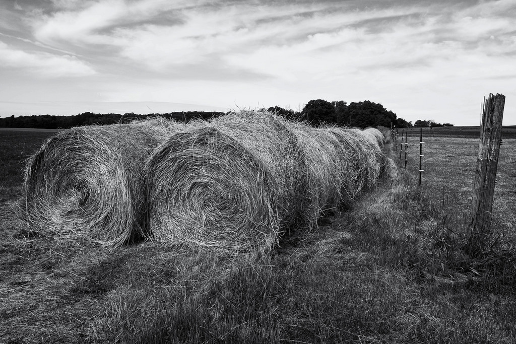 hay-dirt-road