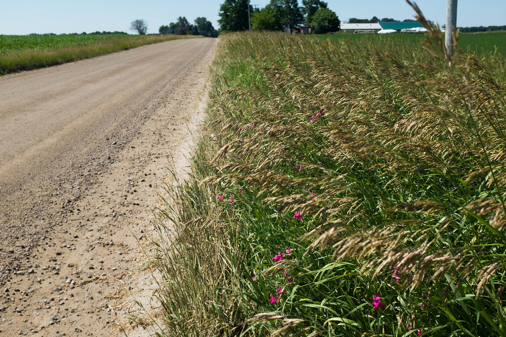 hot-dirt-road