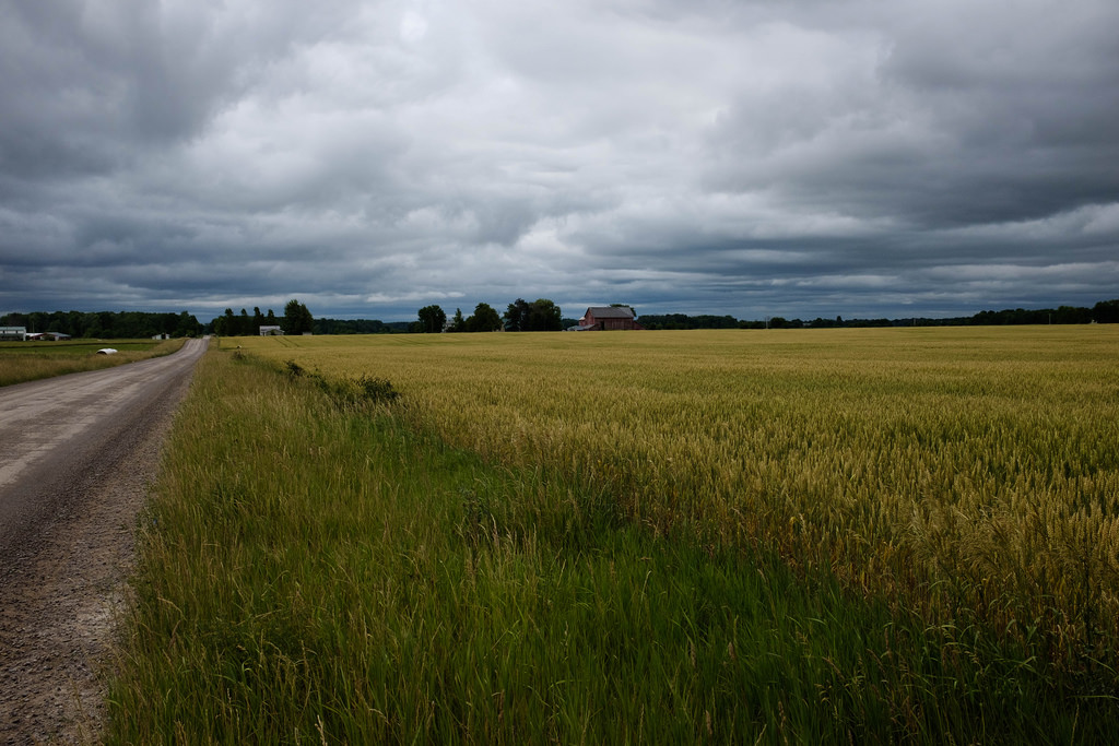 wheat-low-clouds-barn