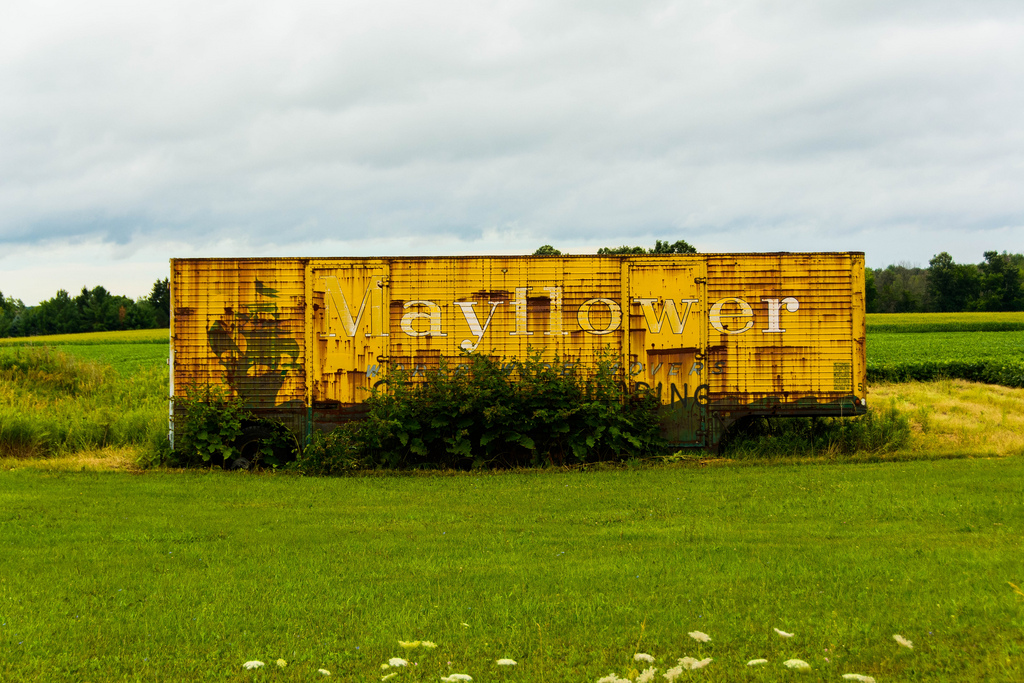 mayflower-shed