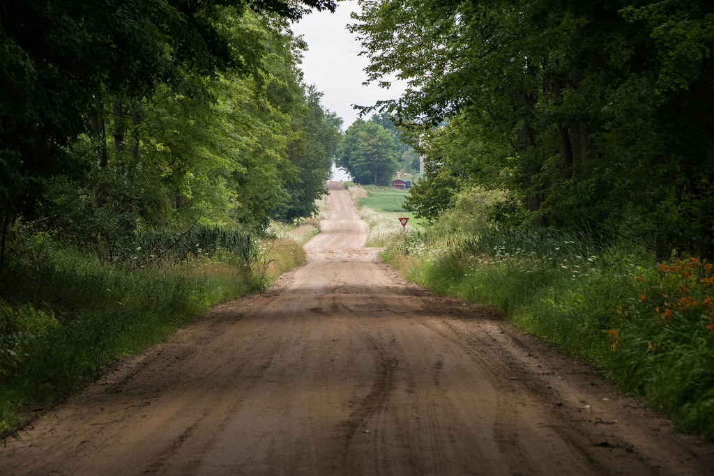 misty-shaded-dirt-road