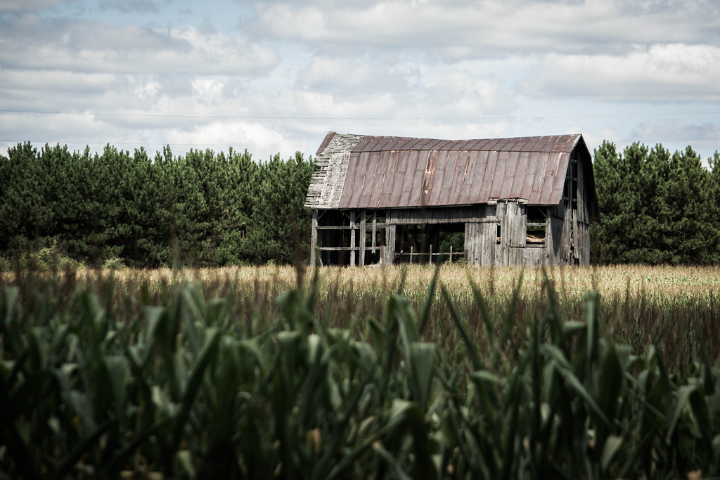 old-barn-in-field