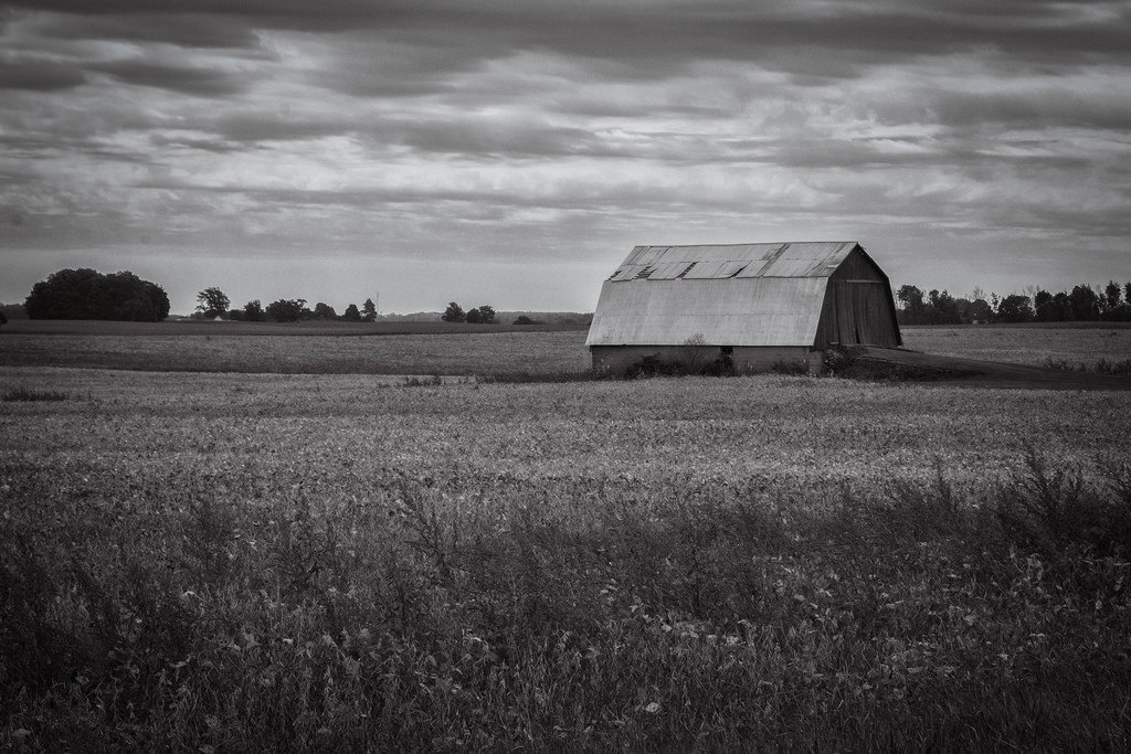 bw_barn_tues