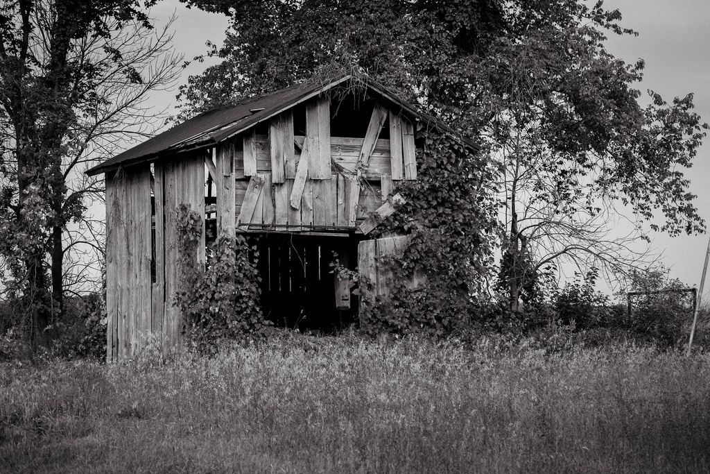 bw-barn-shack