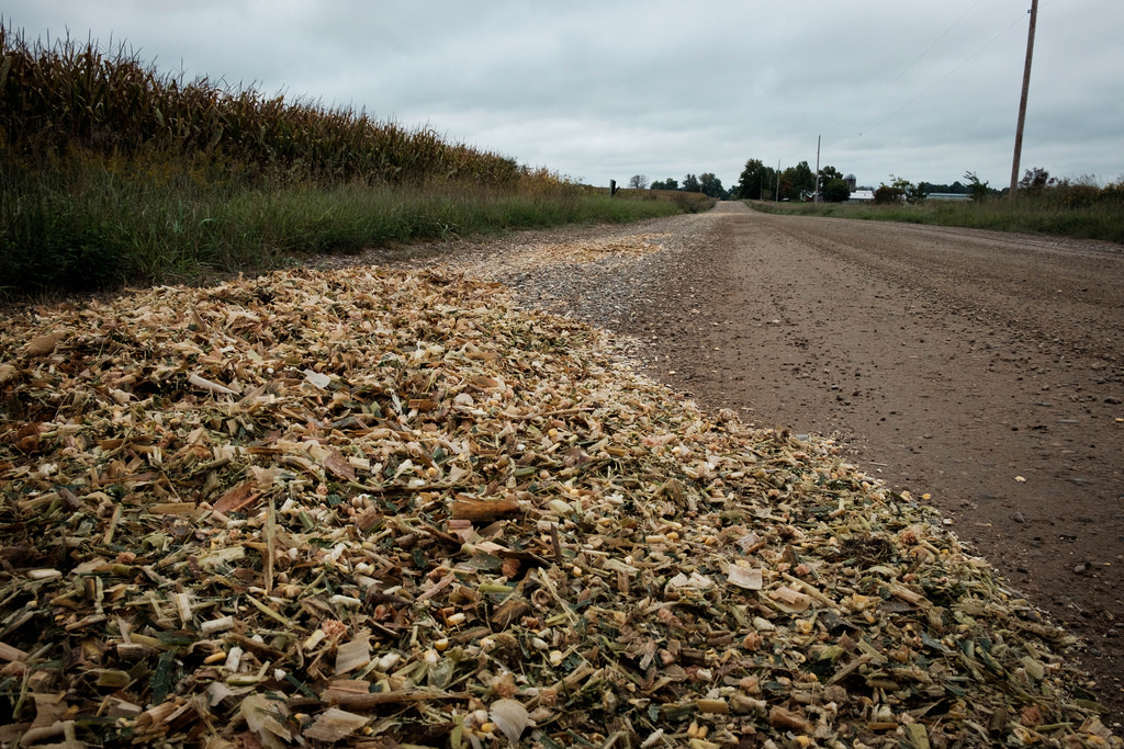 corn-rippage