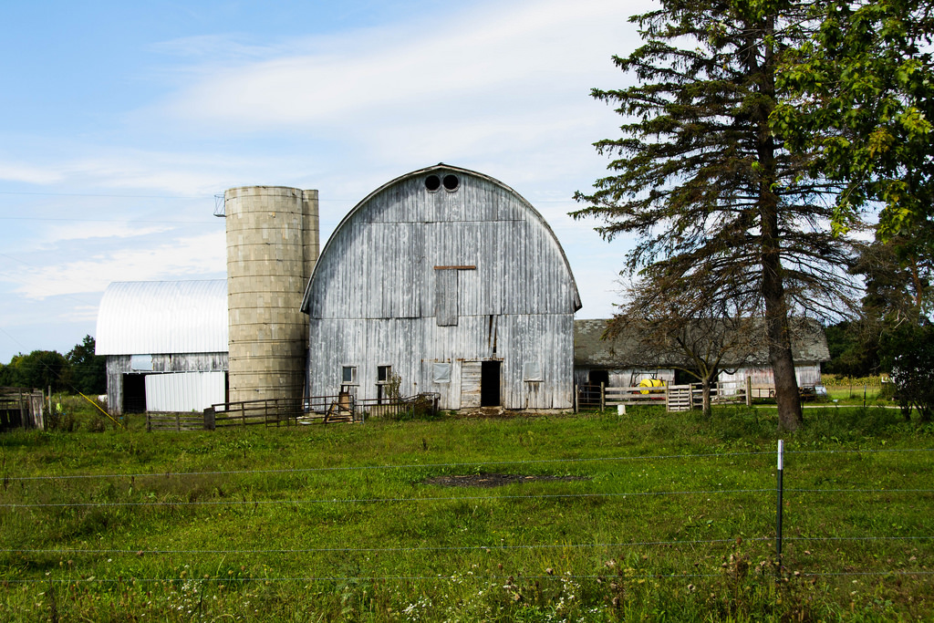 white-barn