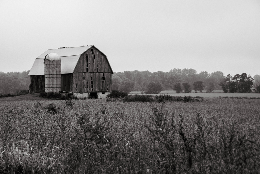 barn-bw-fog