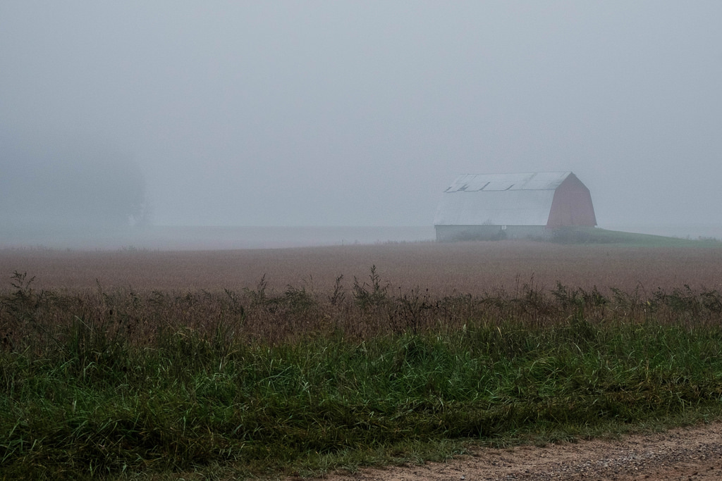 barn-in-fog-1