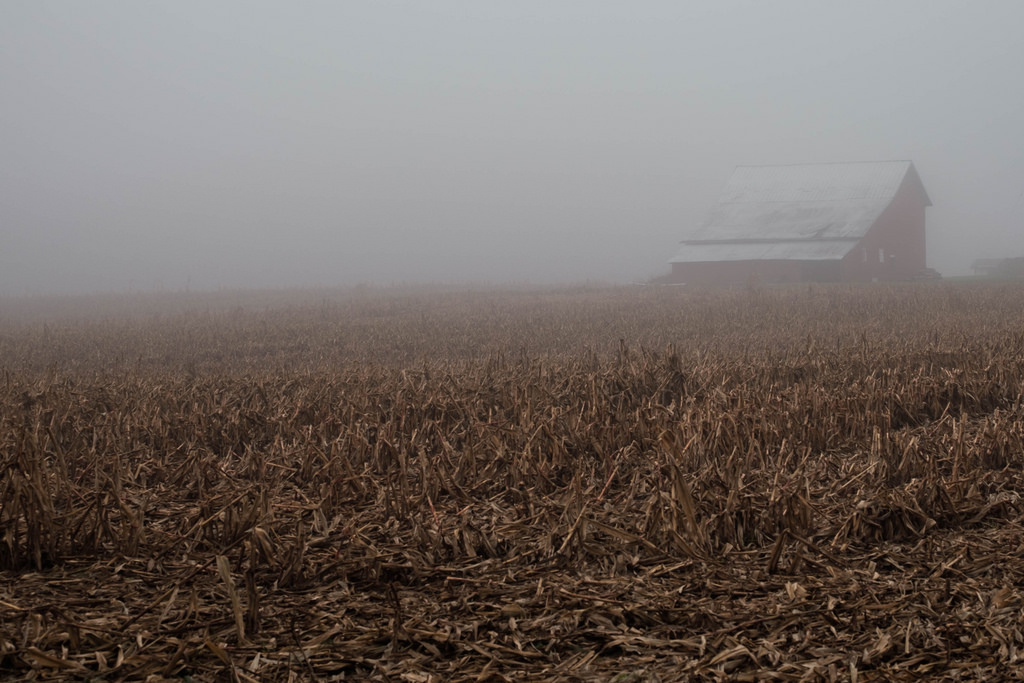 barn-in-fog-4