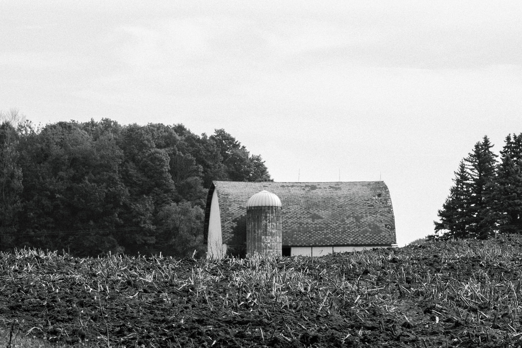 bw-barn-field