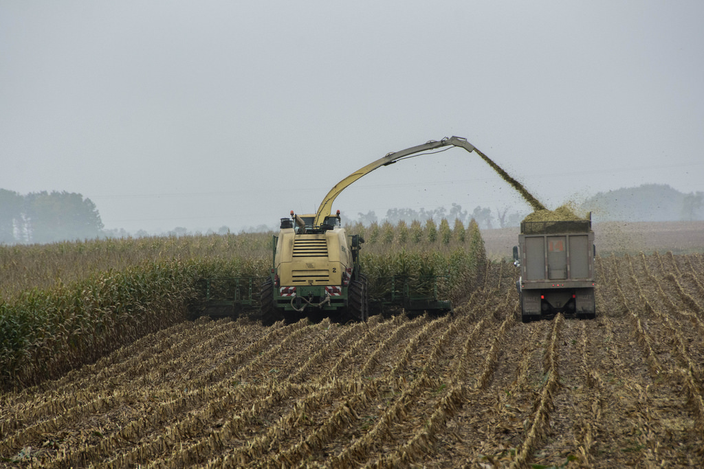 combine-truck-corn