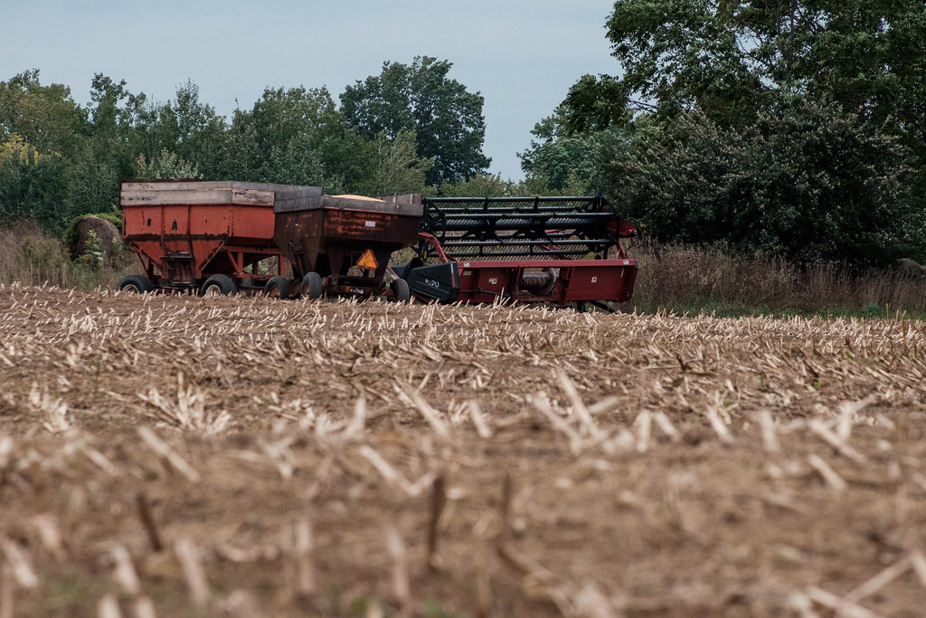 corn-wagons