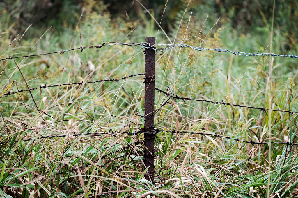 duo-colored-barbed-wire