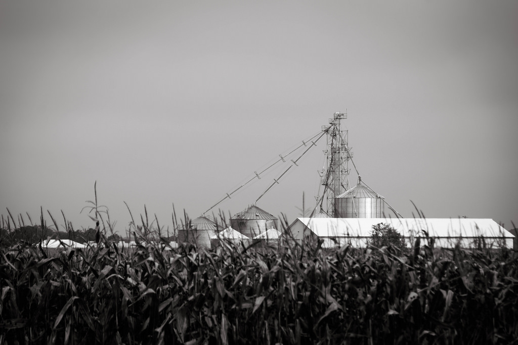 grain-elevators