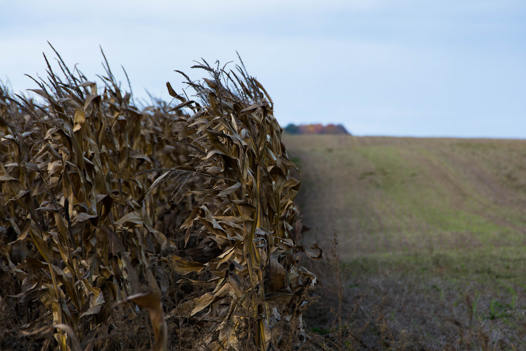 photo-of-wind