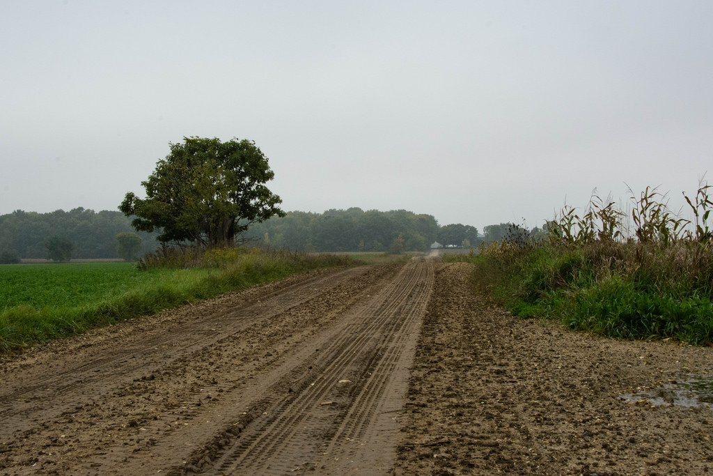 tire-marked-dirt-road