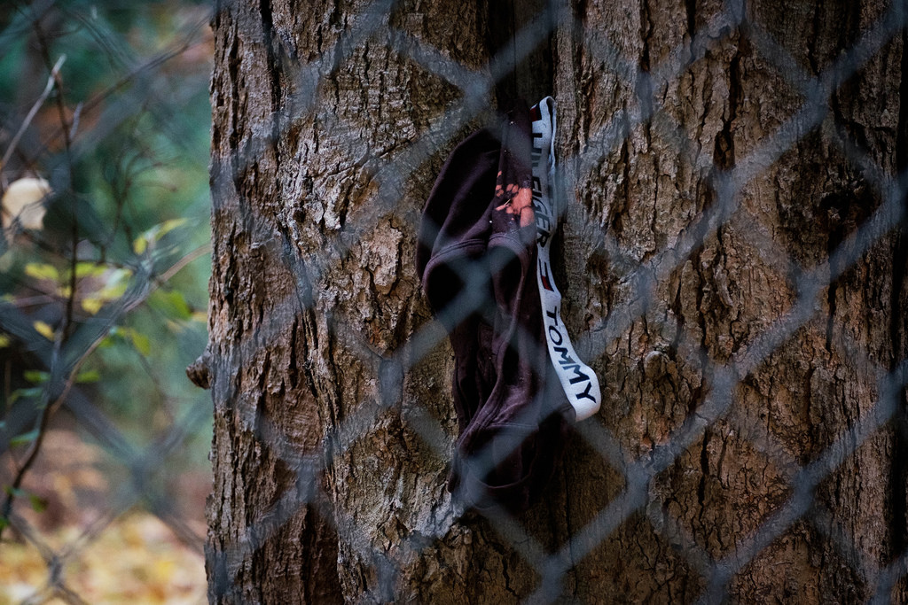 tommy-undies-on-tree