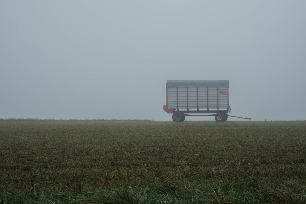 wagon-in-fog