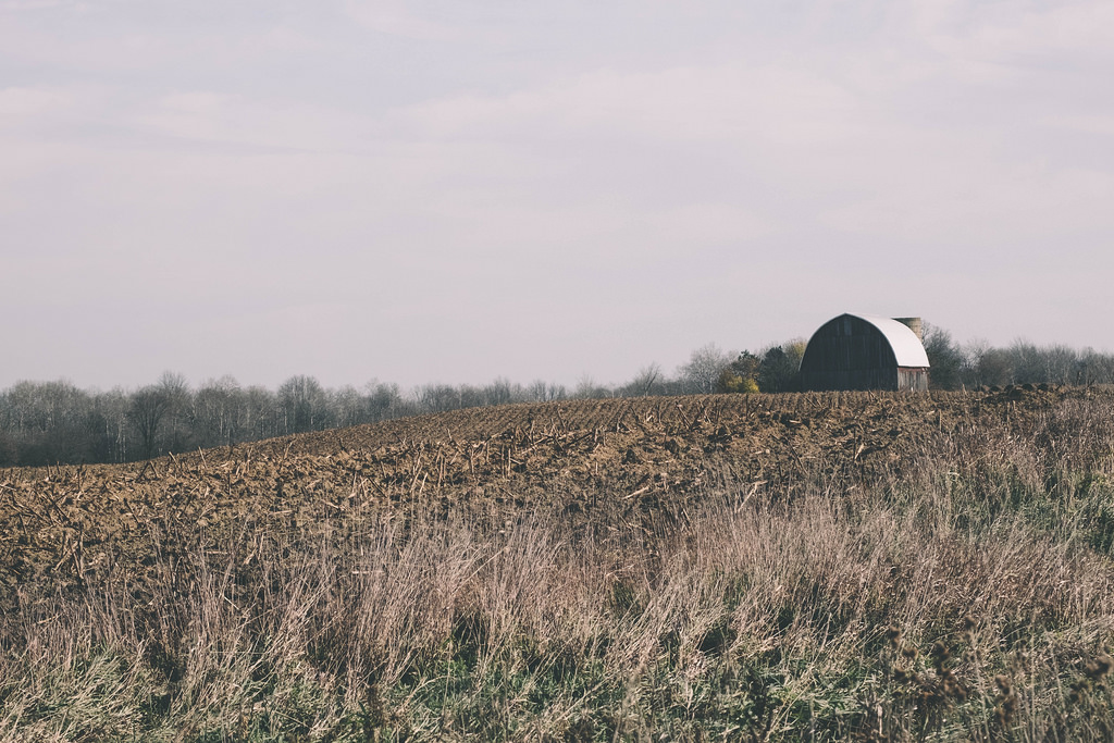 barn-dirt-faded