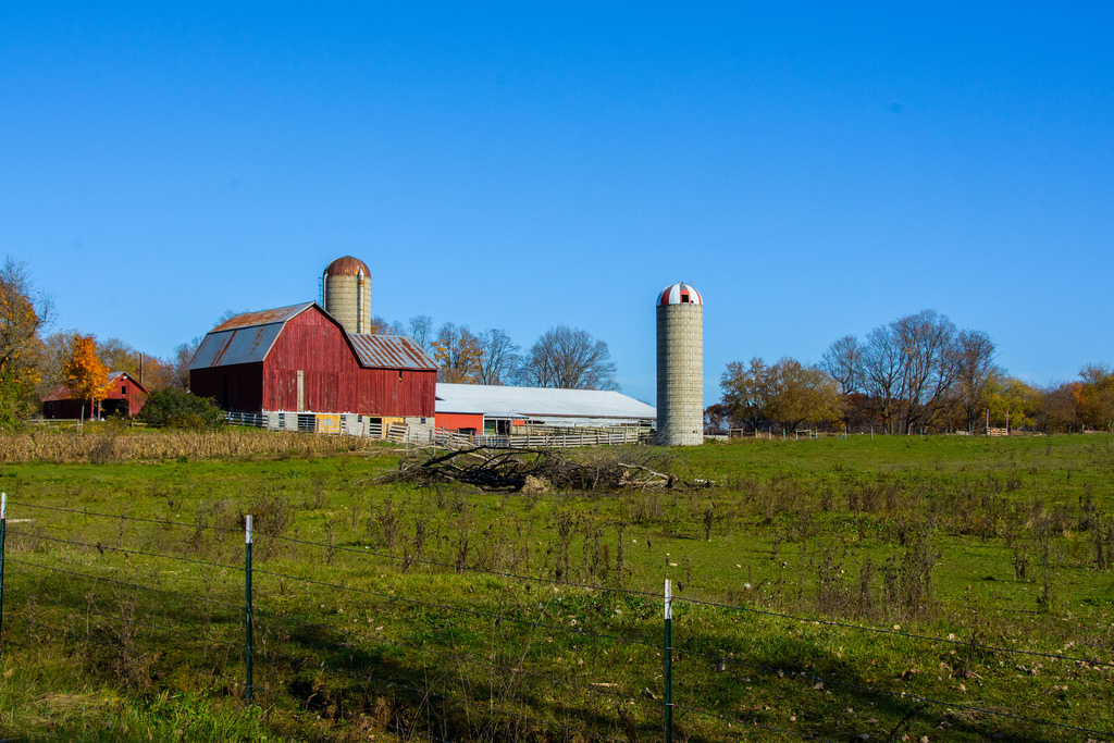 barn-in-sun