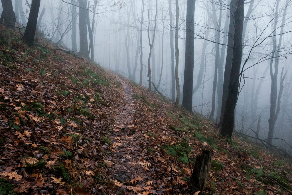 hill-trail-fog