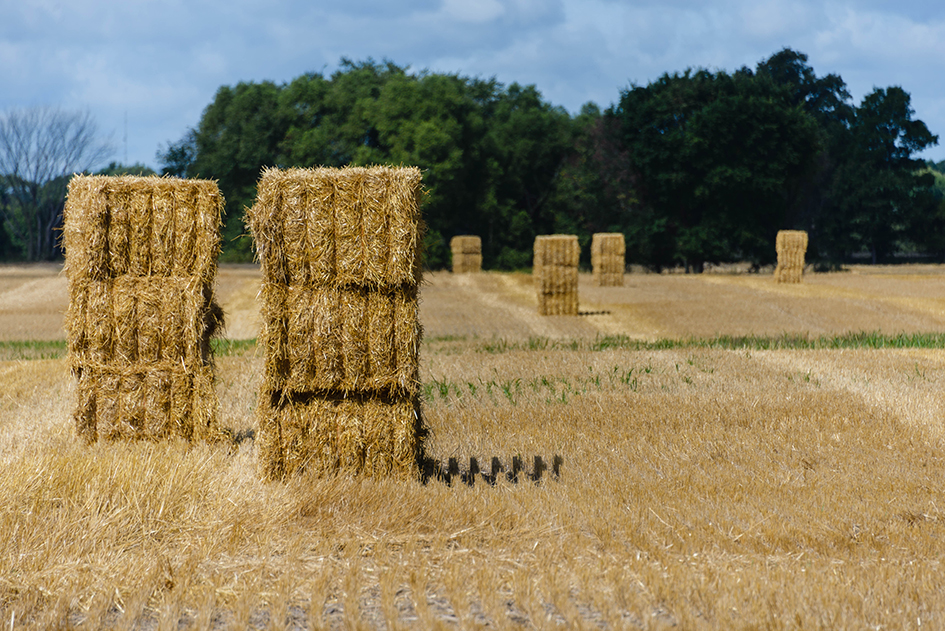 Rural Stonehenge