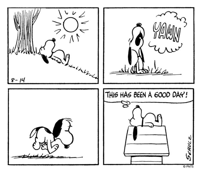 Motivated by Snoopy – SOILED